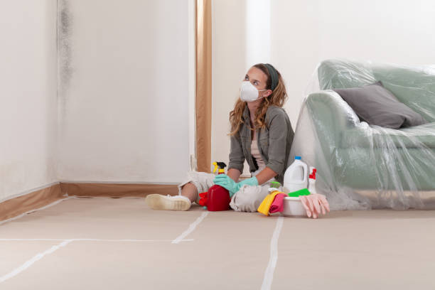 Reliable Basement Mold Remediation contractor in Houston, PA by Mold Remediation HQ